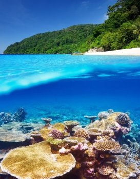 Beautiful beach with coral reef bottom underwater and above water split view