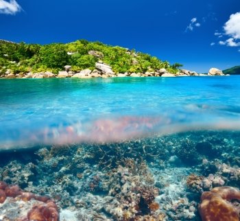 Coral reef at Seychelles split view