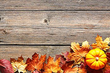 Autumn leaves and pumpkin over old wooden background with copy space