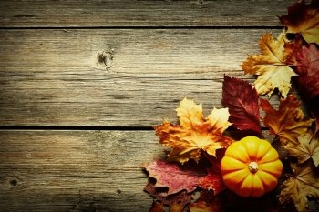 Autumn leaves and pumpkin over old wooden background with copy space