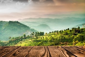 Landscape of the tea plantations in India, Kerala Munnar. (tilt shift lens)