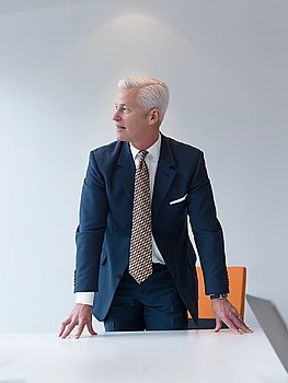 confident and handsome senior business man standing behind table  in meeting room at modern office