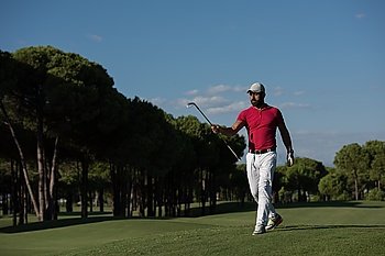 handsome middle eastern golf player carrying driver  and walking at course on beautiful morning