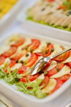 Catering food in dish at a wedding party