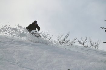snowboard  winter sport man  extreme snow acitve