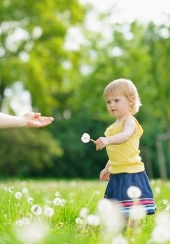 Baby girl outdoors giving dandelions to mother