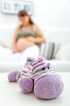Toy lying on table and pregnant woman sitting on sofa at home  in background
