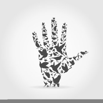 Hand made of birds. A vector illustration
