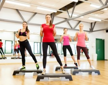 fitness, sport, training, gym and lifestyle concept - group of smiling female doing aerobics