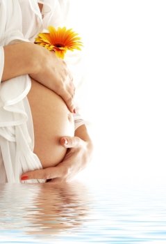 pregnant woman belly with flower in blue water