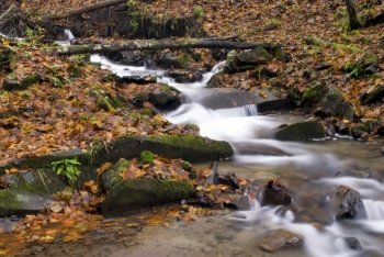 Mountain river is running down in autumnal forest