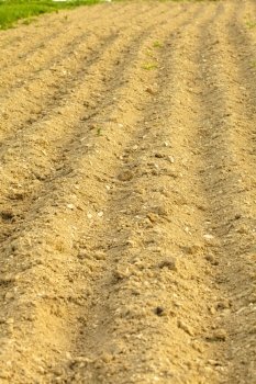furrows on the field for cultivating plants. furrows on the field 