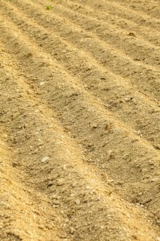 furrows on the field for cultivating plants. furrows on the field 
