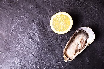 Oyster and succulent lemon on the background of slate. Oyster with lemon
