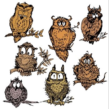 Set of cute owls on branch. Hand drawn picture isolated on white background.