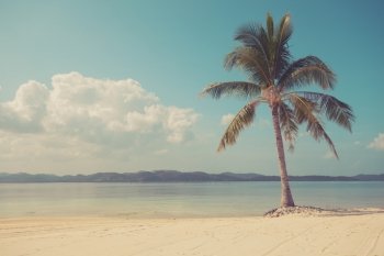 Vintage filtered shot of a single palm tree on a beautiful tropical beach with white sand