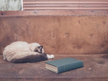 A pretty cat is sleeping on an old sofa with a big green book next to it