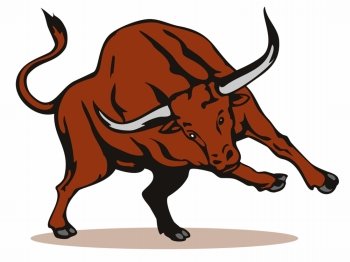 Illustration of a raging bull charging attacking on isolated white background