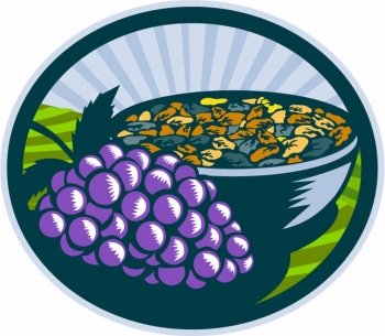 Illustration of a bunch of grapes and raisins in a bowl set inside oval shape with sunburst in the background done in retro woodcut style. . Grapes Raisins Bowl Oval Woodcut