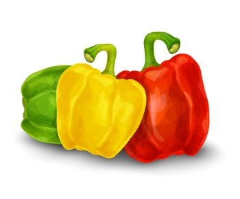 Vegetable organic food paprika pepper set isolated on white background vector illustration