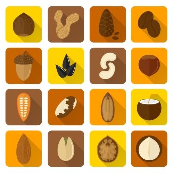 Nuts icons set with walnut hazelnut pistachio isolated vector illustration