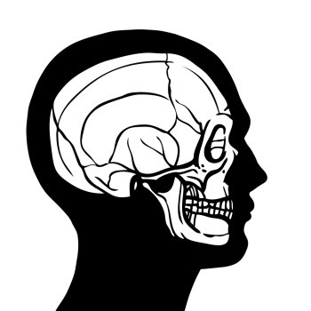 Human head profile contour with skull inside anatomy concept vector illustration