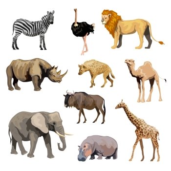 Wild african animals set with zebra ostrich lion rhinoceros isolated vector illustration. Wild African Animals Set