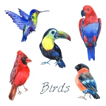 Tropical rainforest parrot birds with beautiful plumage and curved beaks watercolor pictograms collection abstract isolated vector illustration. Exotic tropical birds watercolor icons set