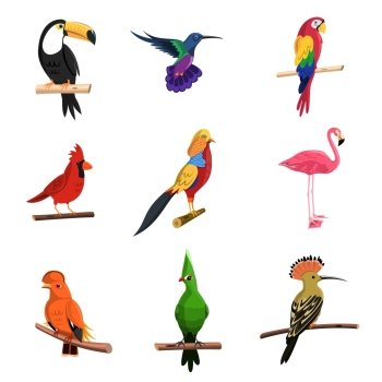 Exotic birds set with toucan parrot and flamingo isolated vector illustration. Exotic Birds Set