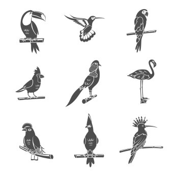 Tropical wild bird black silhouettes icons set isolated vector illustration. Bird Black Icons Set