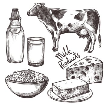 Sketch milk products set with cow and cheese isolated vector illustration. Sketch Milk Products Set