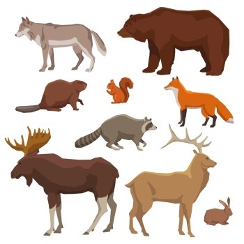Wild Animal Painted Icon Set. Wild forest animals bear wolf fox elk rabbit and beaver painted color icon set isolated vector illustration