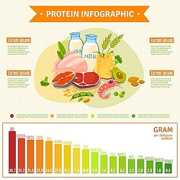 Healthy Protein Food Infographic Flat Poster. Informative poster on protein rich healthy nutrition with text diagram and infographic elements flat abstract vector illustration 