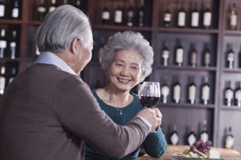 Senior Couple Toasting and Enjoying Themselves Drinking Wine, Focus on Female