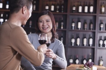 Mature Couple Toasting and Enjoying Themselves Drinking Wine, Focus on Female
