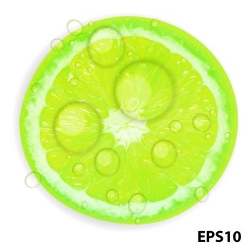 Fresh juicy lime background vector illustration
