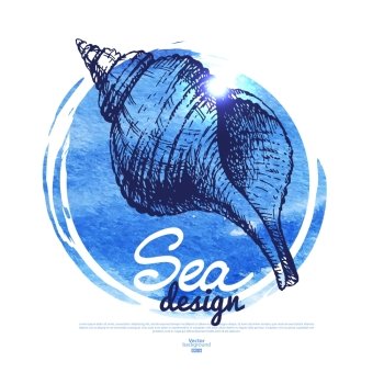 Seashell banner. Sea nautical design. Hand drawn sketch and watercolor illustration