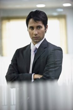 Portrait of business executive 