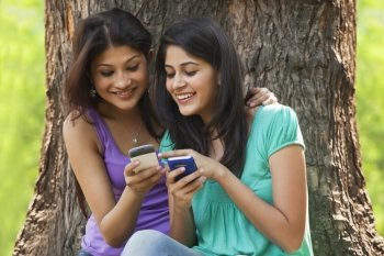 Young women sitting against tree trunk using cell phone 