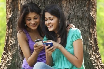 Smiling young women sitting against tree trunk using cell phone 