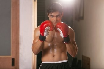 Portrait of young male boxer wearing boxing gloves in gym