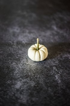 White pumpkin on black marble background