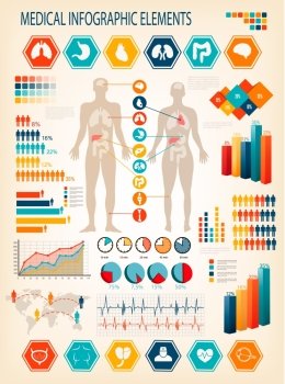 Medical infographics elements. Human body with internal organs. Vector. 
