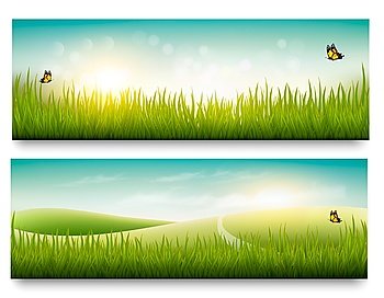 Two beautiful summer meadow landscape banners with butterflies. Vector.