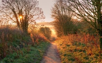 The sun rising on the Cotswold Way near Chipping Campden, Gloucestershire, England.