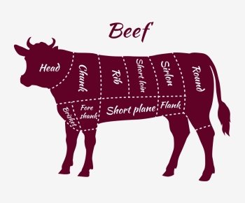 Scheme of Beef Cuts for Steak and Roast. American cuts of beef. Scheme of beef cuts for steak and roast. Butcher cuts scheme. Beef cuts diagram in vintage style. Meat cutting beef. Menu template grilling steaks and cow. Vector illustration