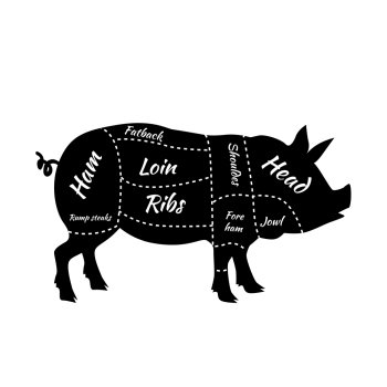 American US Cuts of Pork. Pork or pig cuts. American US cuts of pork. Barbecue vector illustration. Pork meat cuts. Butcher pork cuts diagram. Butchers selection. Butcher shop