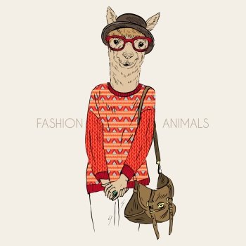 Hand drawn illustration of hipster alpaca dressed up in jacquard pullover. Hand drawn illustration of alpaca dressed up in jacquard pullover