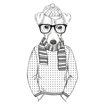Jack Russel terrier hipster