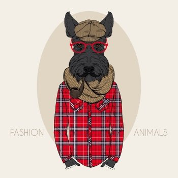scottish terrier dressed up in shirt with tartan design